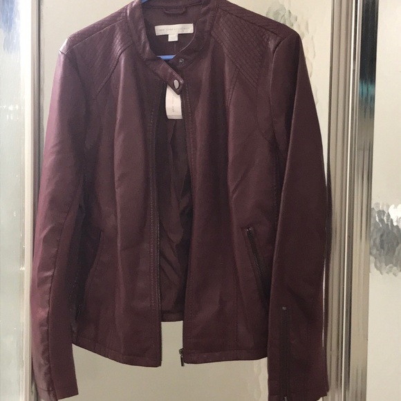 Cozy Stylish Jacket - Picture 3 of 4